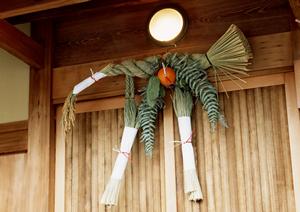 ガチャガチャの森：豊富なラインナップと安心の店舗サービス